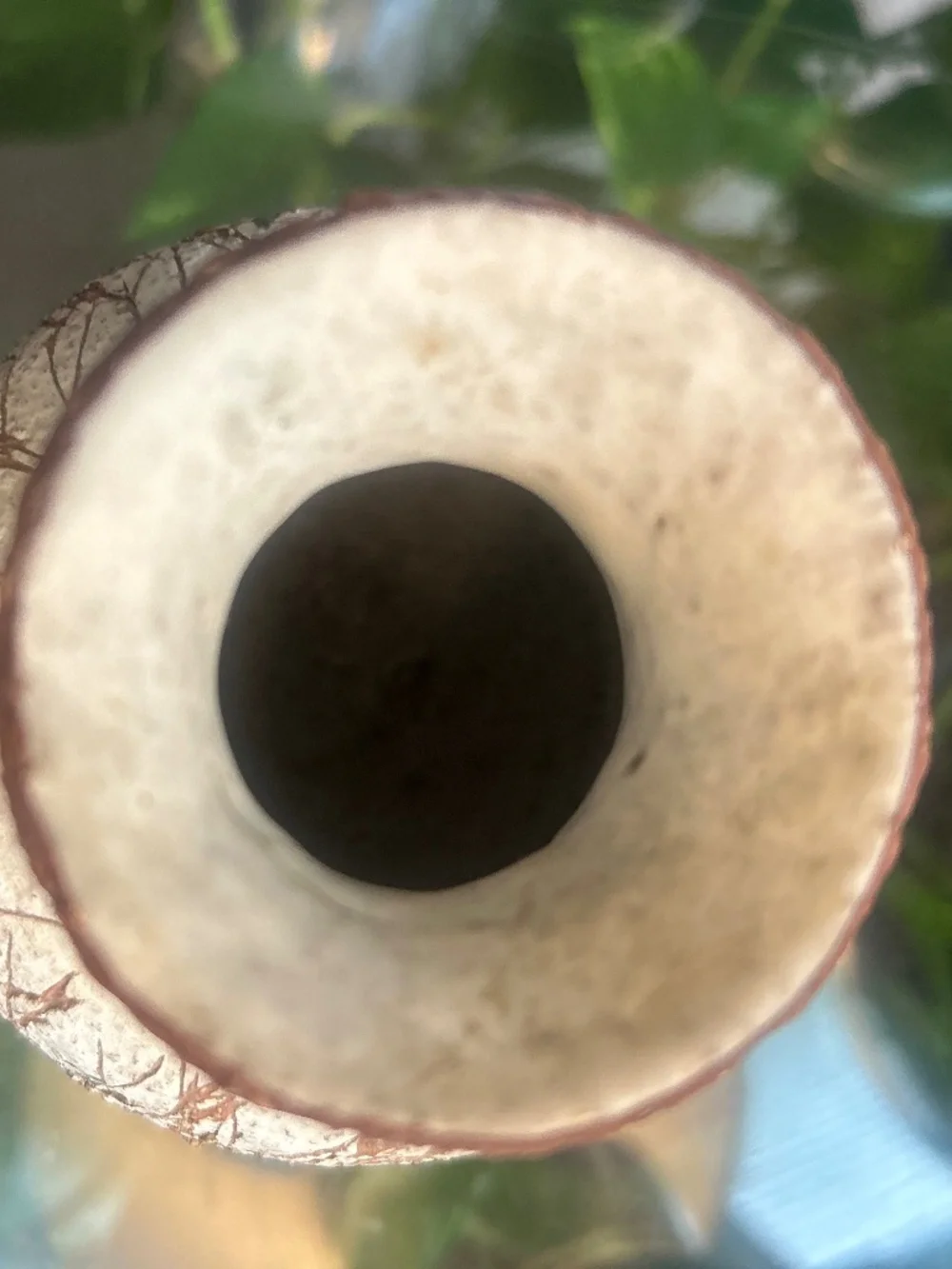 Signed Studio Art Pottery Vase | Hand-Thrown Stoneware | Cattail Design | 5”